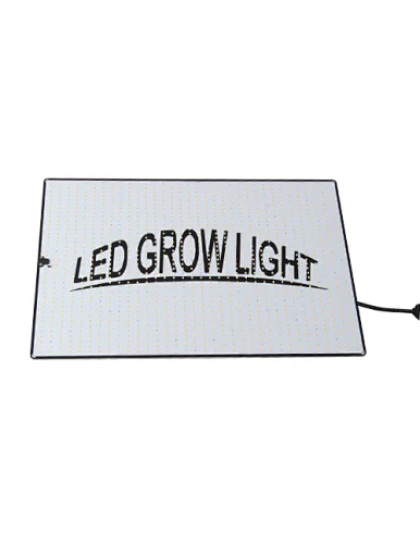 LED grow light quantum red blue