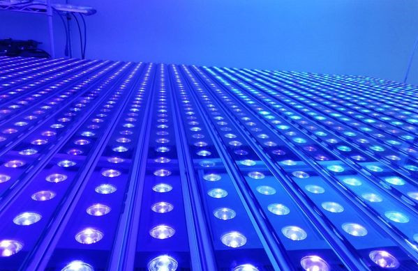 LED aquarium light