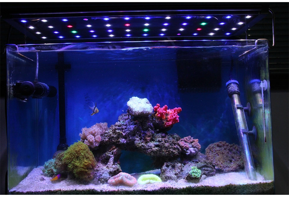 LED reef light