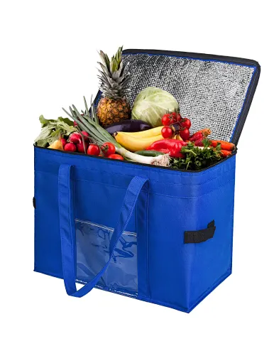 foldable cooler shopping bags