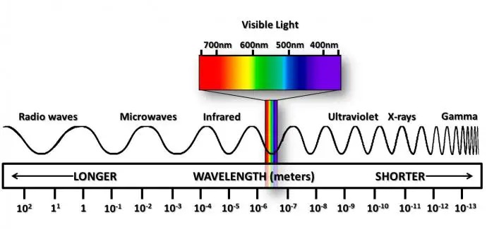 wavelengths which bugs love