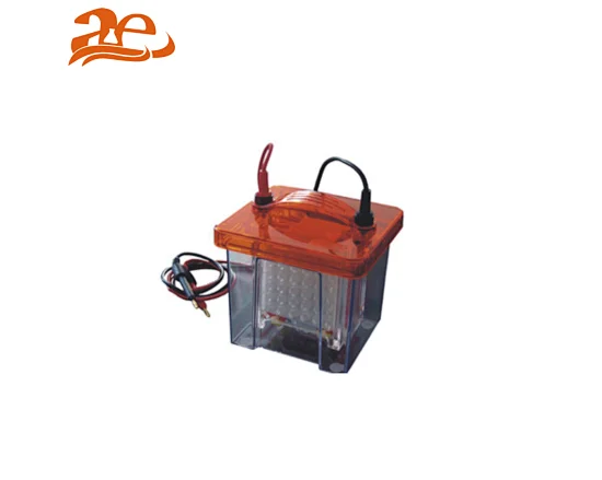 electrophoresis tank