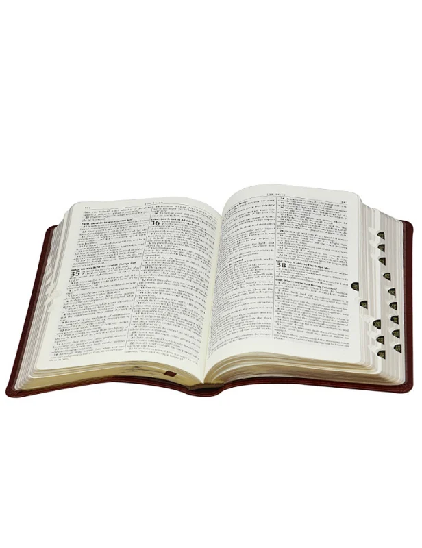 bulk holy bible in english kjv