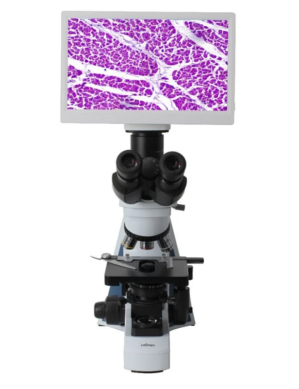 HD LCD Digital Biological Microscope Medical Lab Microscope microscope with 11.6 inch screen microscope with LCD display high power microscope