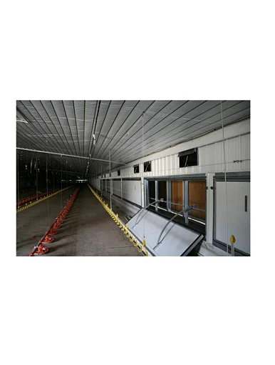 steel structure farm