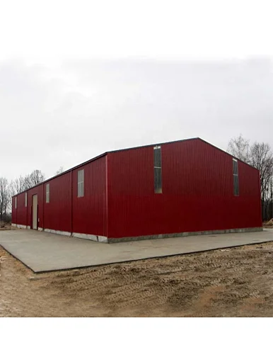 steel structure granary