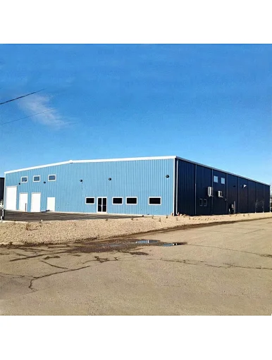 Light Steel Industry Workshop