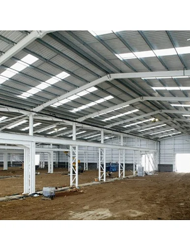 steel structure building