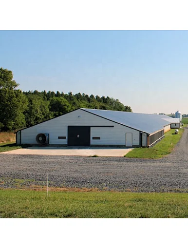 steel structure poultry house