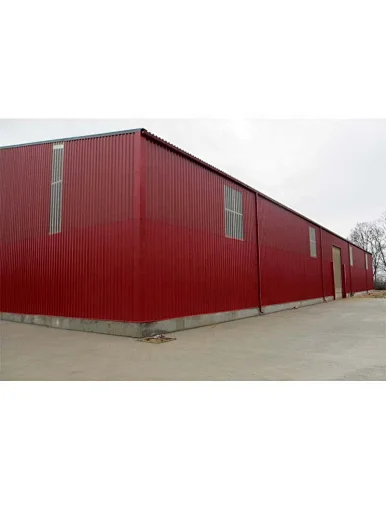 steel structure granary