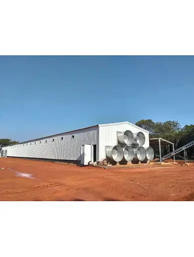 Steel Structure Poultry Farm