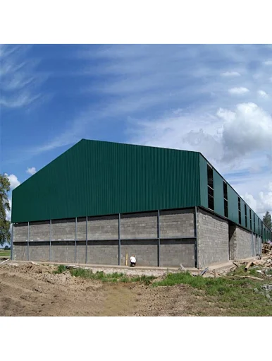steel structure granary