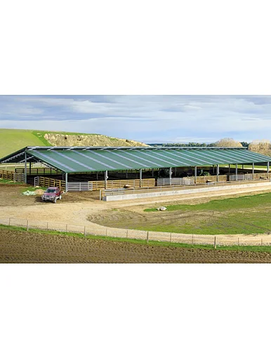 Steel Structure Building Design Cow Farm