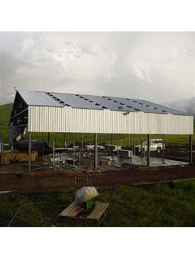 Steel Structure Building Design Cow Farm