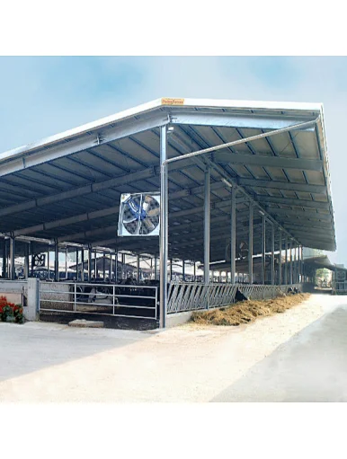 dairy cow farm shed house