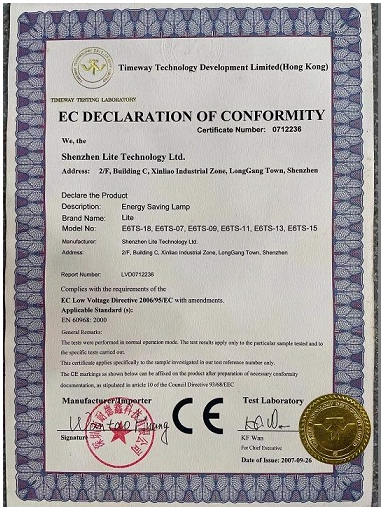 emergency light completion certificate Shenzhen lite technology limited certificate