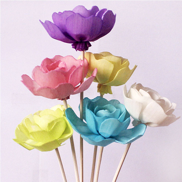 sola flowers