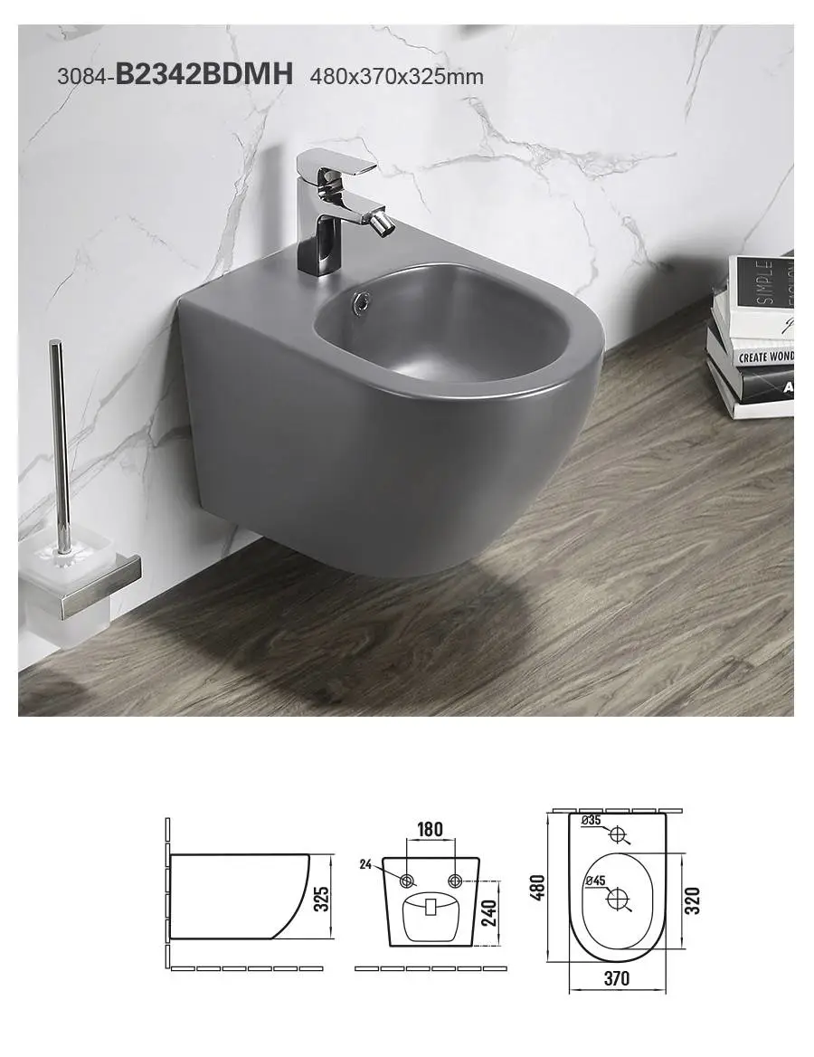 Wall Hung One Piece Bidet