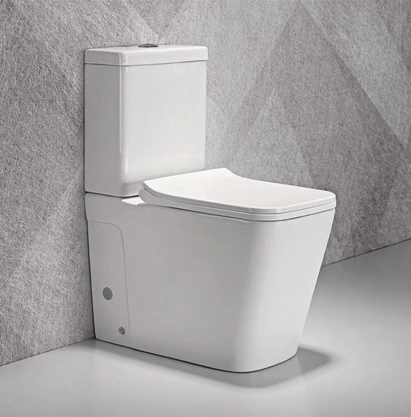 Hot selle ceramic washdown two piece toilet