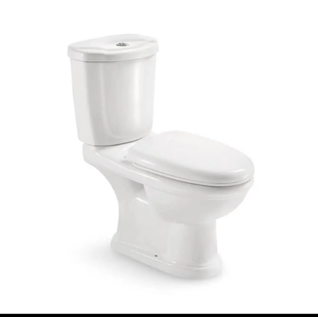 Wash Down Two Piece Toilet P-trap S-trap Dual Flushing Rimless Toilet