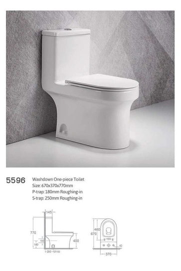Wash Down Two Piece Toilet P-trap S-trap Dual Flushing Rimless Toilet