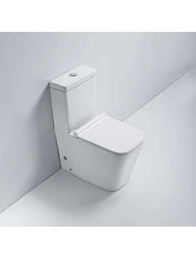 Wash Down Two Piece Toilet P-trap S-trap Dual Flushing Rimless Toilet