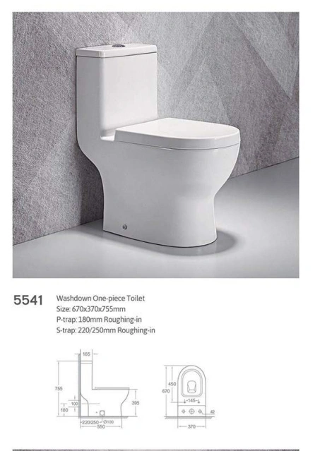 Wash Down Two Piece Toilet P-trap S-trap Dual Flushing Rimless Toilet