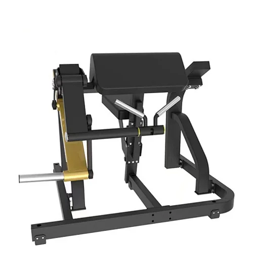 Plate Loaded Biceps Curl
