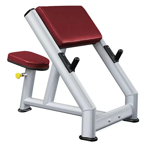Seated Preacher Curl