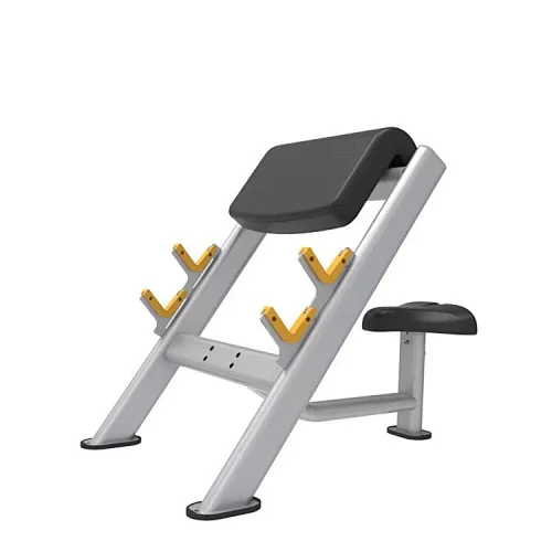 Seated Preacher Curl Bench