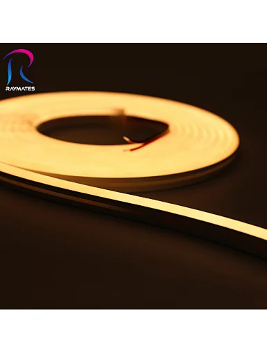 LED Neon light4