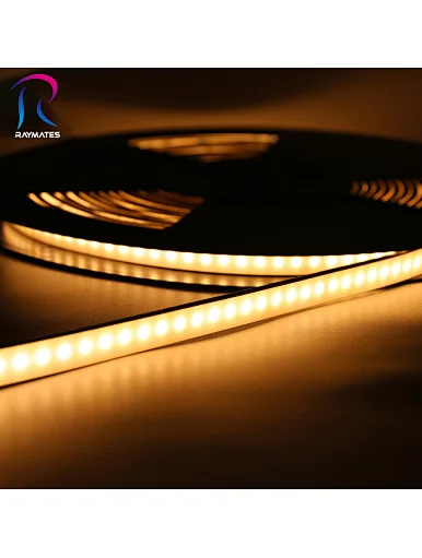 LED Neon light4