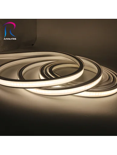 Flex LED Neon light