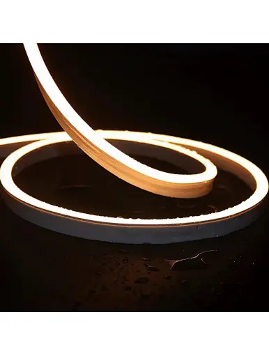 Silicone Neon