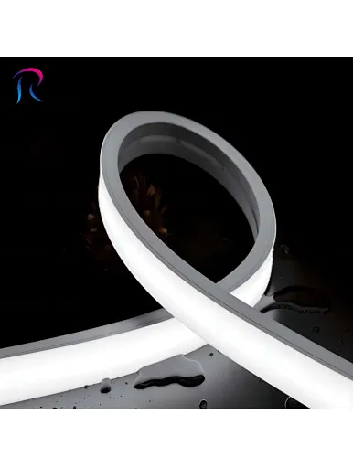 Silicone neon light