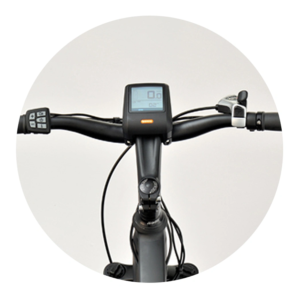 dual battery MTB ebike