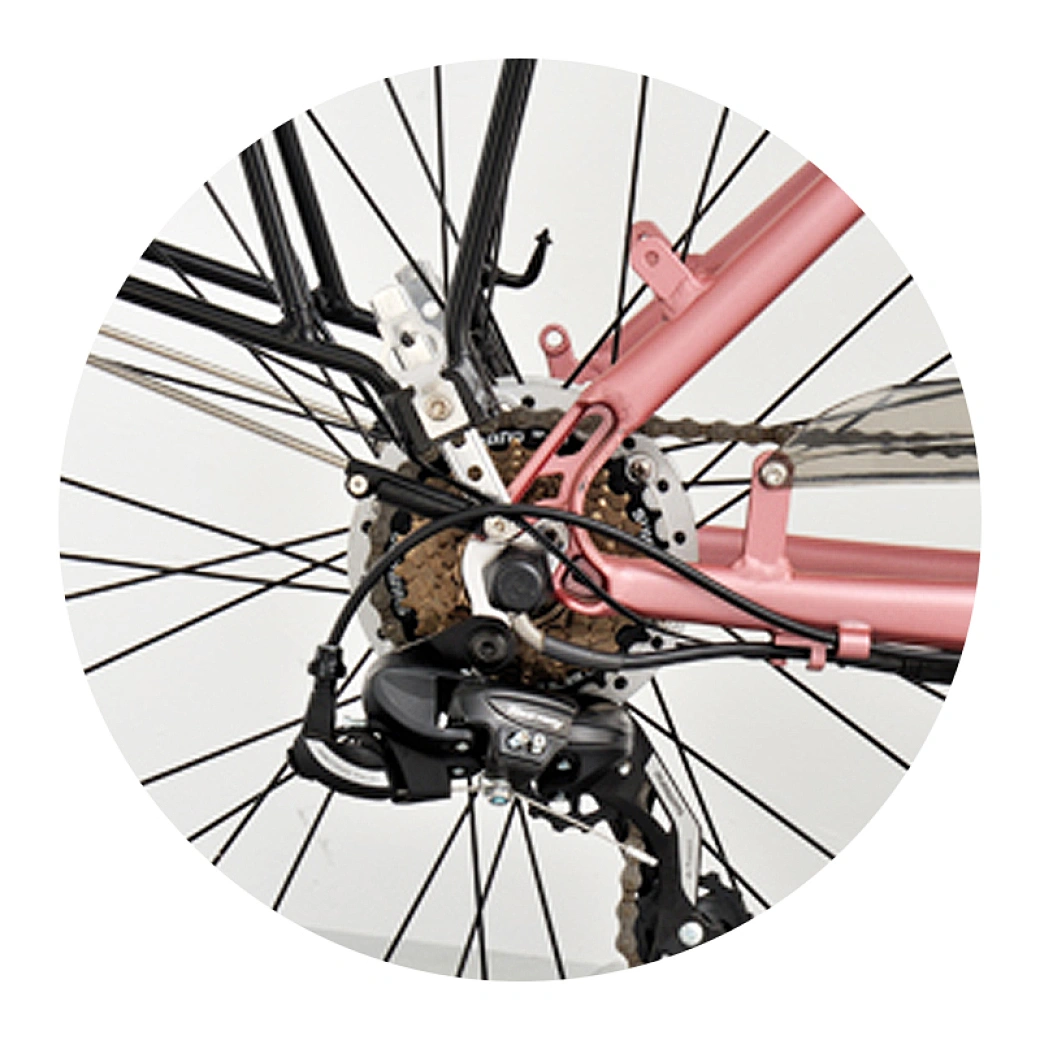 electric bike city low step