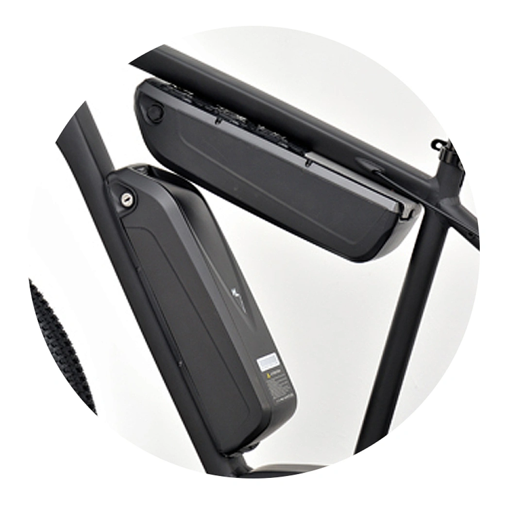 dual battery ebike