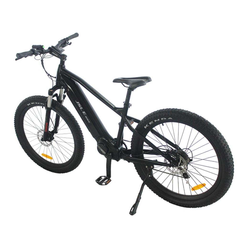 Bafang mid motor mountain ebike