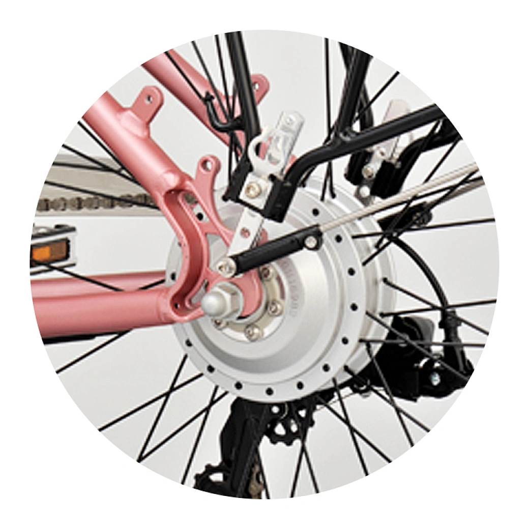 step through 250w city ebike
