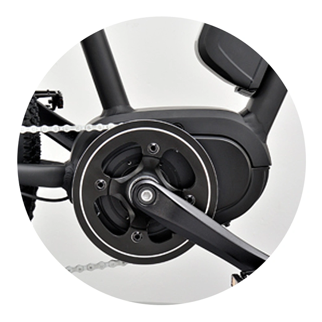 dual battery ebike