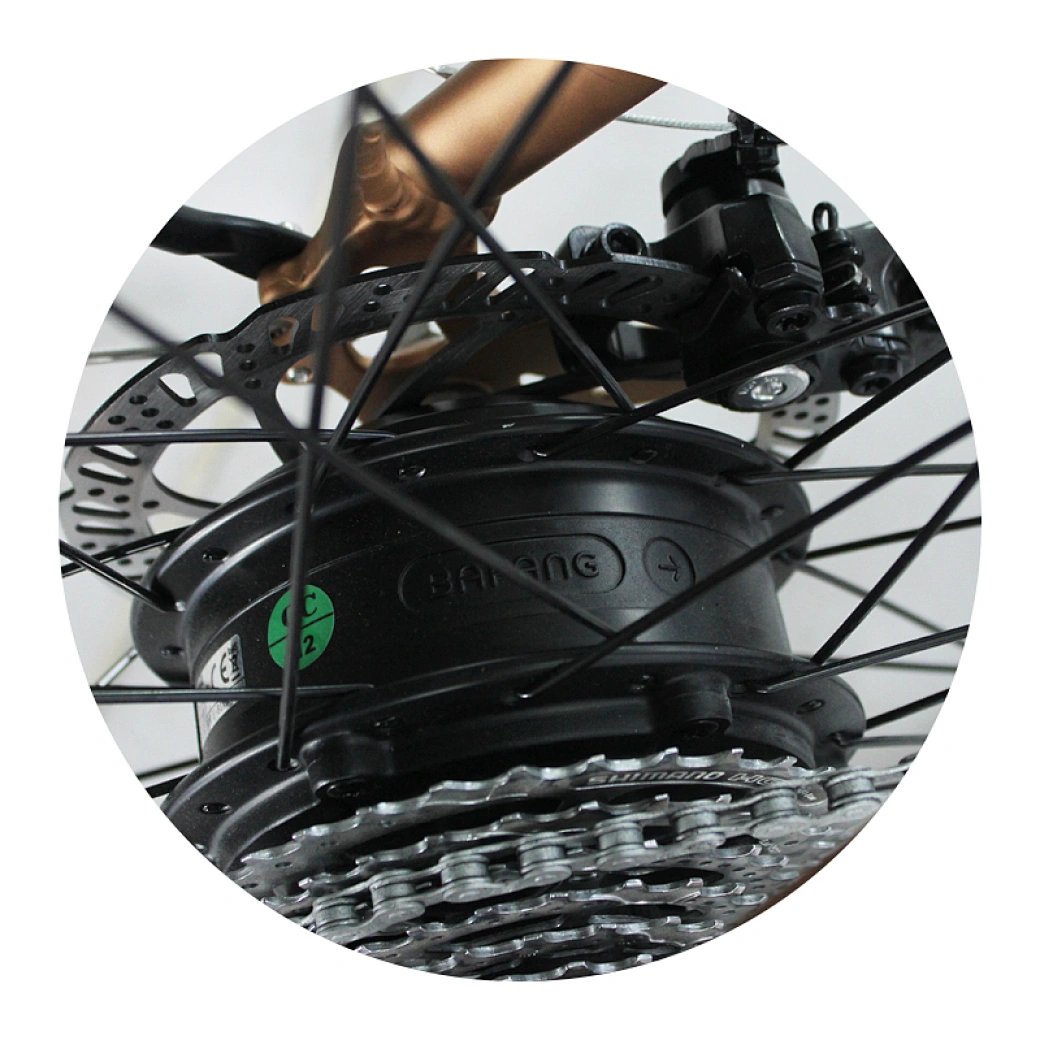 woman city ebike