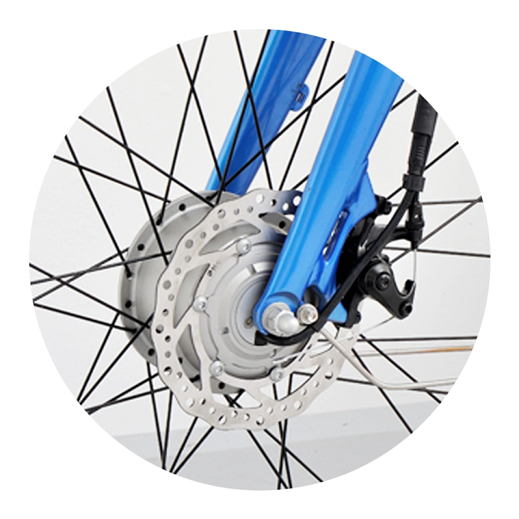 city electric bicycle China