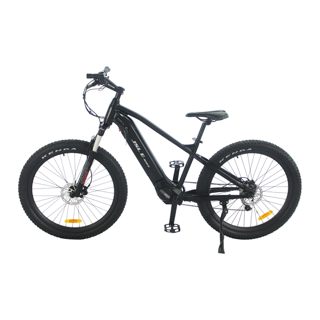 Bafang mid motor mountain ebike