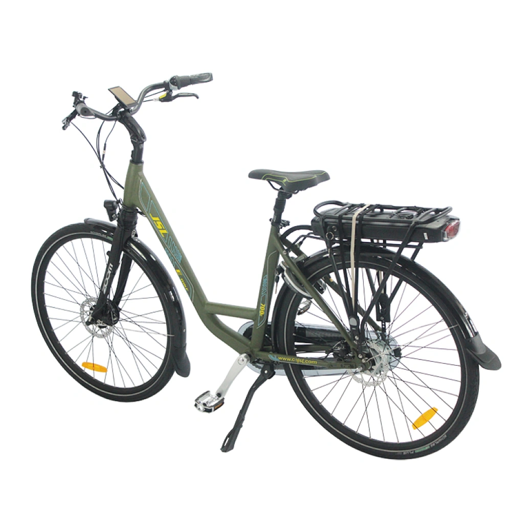 OEM city ebike China