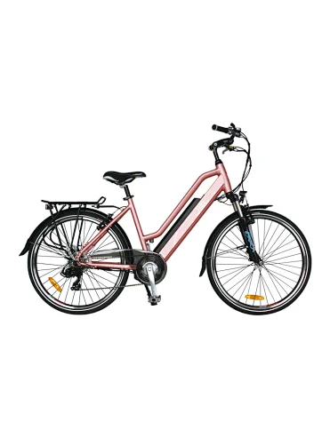 (JSL038G) Half-hidden battery 26" 36V 250W/350W Rear Motor Step Through City Ebike Electric Bicycle