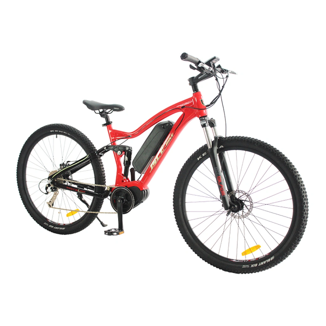 wholesale mountain electric bike