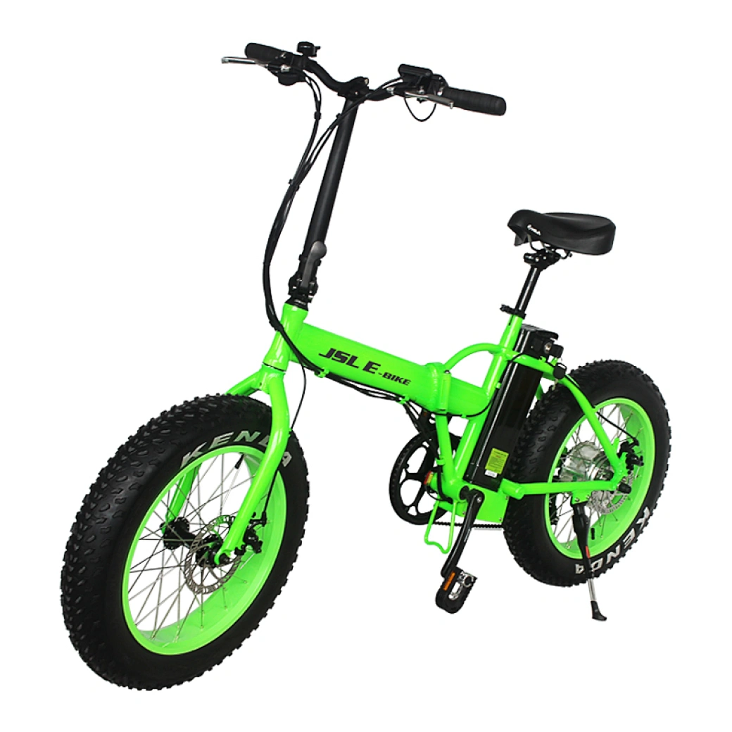 20 inch beach cruiser