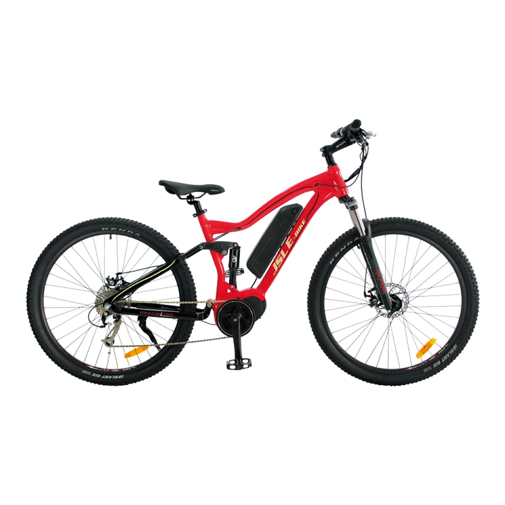 wholesale mountain electric bike