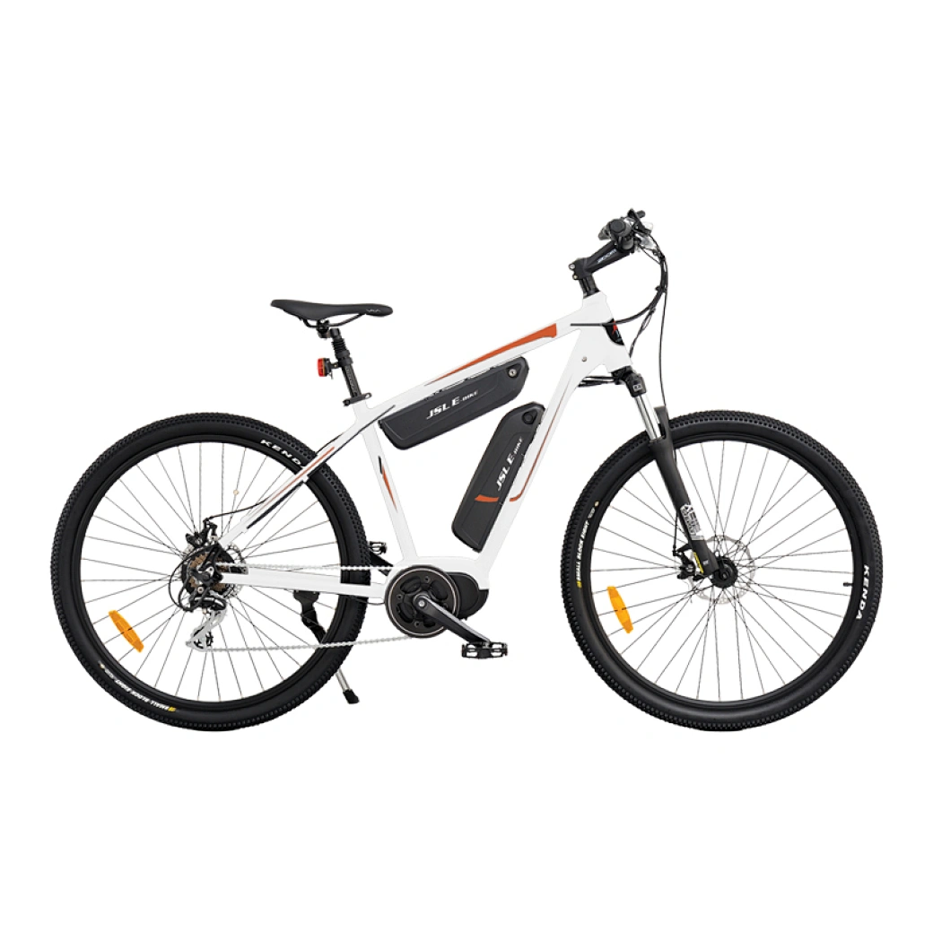 mountain electric bike two battery
